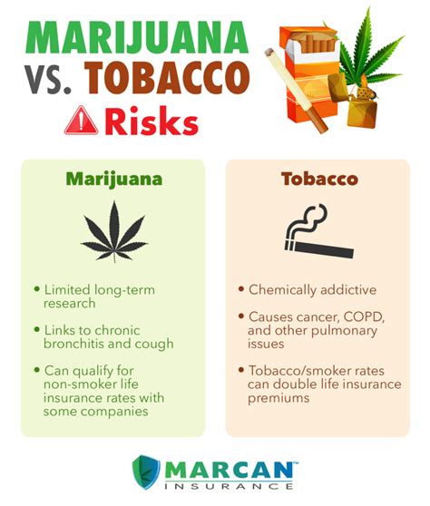 Smoking Marijuana vs. Tobacco - Short & Long Term Differences