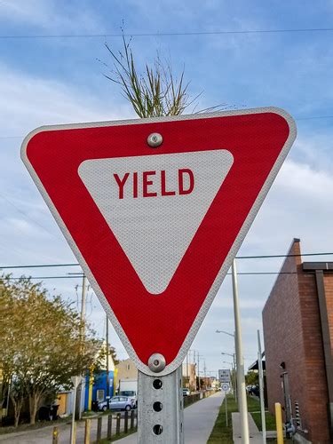 Yield Yield | Plant growth in a sign along the Lafitte Green… | Bart Everson | Flickr