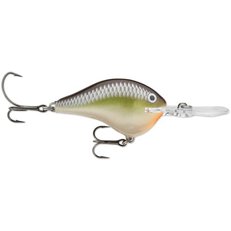 Rapala DT10 Lure - 292870, Crank Baits at Sportsman's Guide