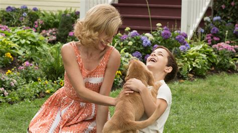 A Dog's Purpose wiki, synopsis, reviews - Movies Rankings!