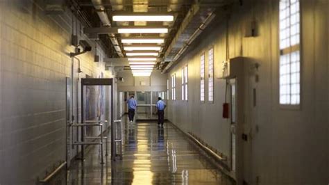 Drug offenders in American prisons: The critical distinction between ...