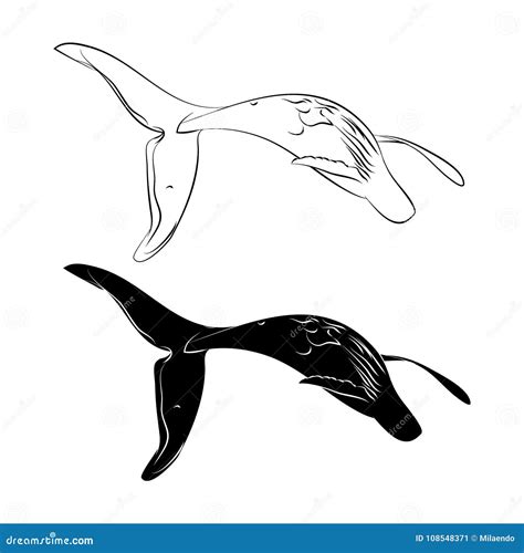 The Whale Silhouette and Outline Stock Vector - Illustration of drawing, drawn: 108548371