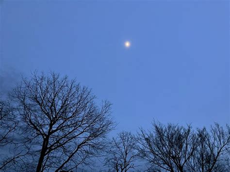 Blue night sky with moon in winter in Kentucky Photograph by Stevie ...