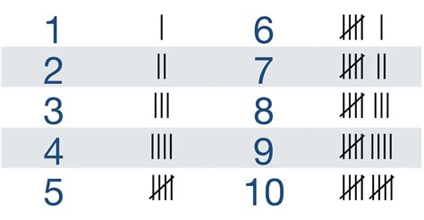 Tally Charts | 1st Grade Math | Class Ace