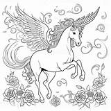 Pegasus Coloring Pages 26844695 Stock Photo At Vecteezy sketch template