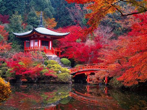 Kyoto the Best Destination in Japan - Gets Ready