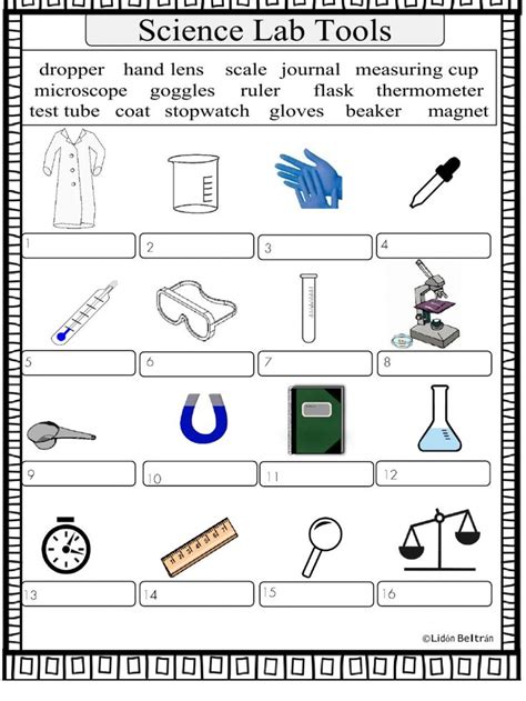 Scientific tools online worksheet | Science worksheets, Science tools, Worksheets