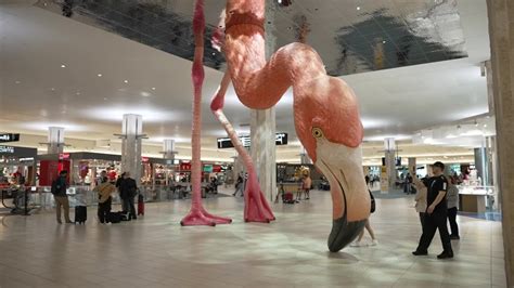 Tampa International Airport's pink flamingo 'Phoebe' earns ...