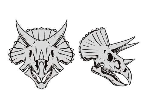 Premium Vector | A drawing of a triceratops skull