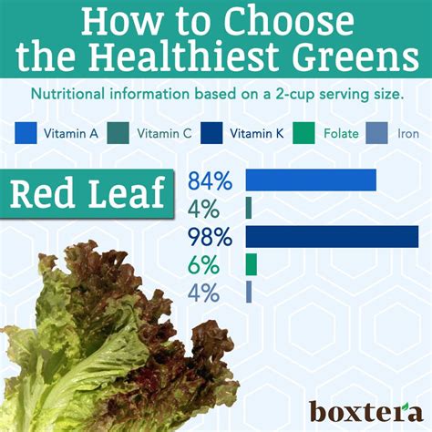 Red leaf lettuce #NutritionalFacts #Greens #Vegetables #Boxtera ...