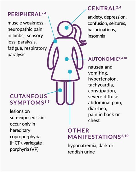 Acute Hepatic Porphyria Symptoms - Illustration , Free Transparent ...