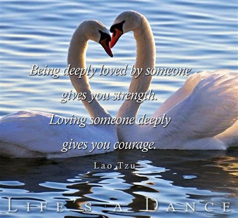 Swan Quotes. QuotesGram