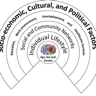 Dahlgren and Whitehead's model of health determinants (adapted from... | Download Scientific Diagram