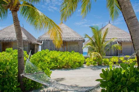 Hammock on the Beach at Maldives Stock Photo - Image of bungalos ...