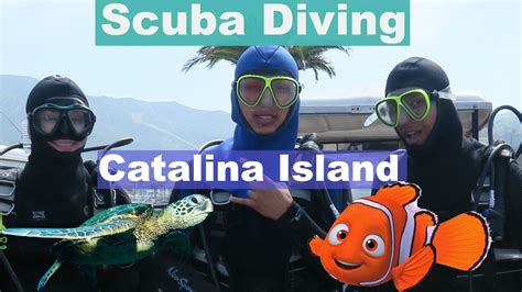 CATALINA ISLAND - SCUBA DIVING FOR THE FIRST TIME - YouTube