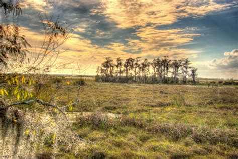 Jean Lafitte National Historical Park and Reserve - Christopher Ryan