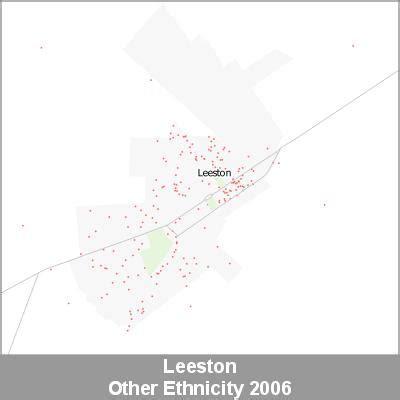 2020 Street Map Leeston - Digital Maps