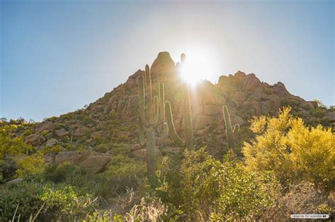 Pinnacle Peak Park: An Easy Hike and Pretty Views in Scottsdale, Arizona