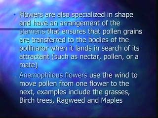 Types Of Flower | PPT