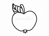 Apple With A Handle And Leaf  Coloring Book Linear Vector For sketch template