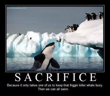 Sacrifice | Demotivational posters, Motivational posters ...