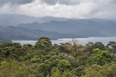 Hiking in Arenal Volcano National Park - Explore the World with Simon Sulyma