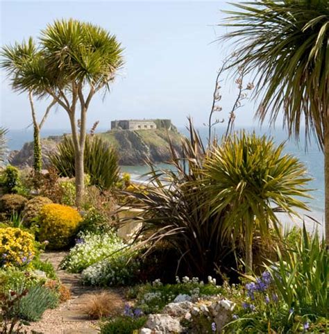 Coastal garden plants - Plants for purpose