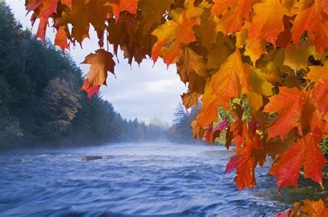 Best Fall Things to Do in Michigan's Upper Peninsula | REI Co-op Journal