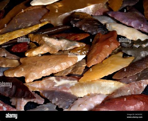 Neolithic flint arrowheads. Stone-age flint arrowheads dating from around 8,000 to 10,000 years ...