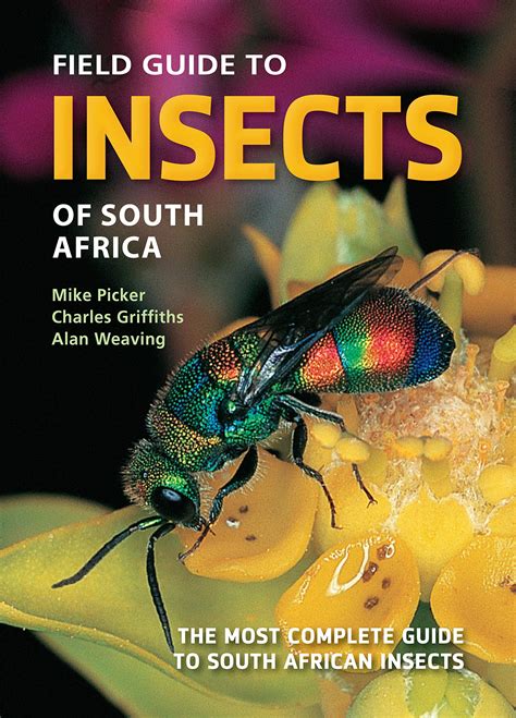 Buy Field Guide to Insects of South Africa: The most complete guide to ...