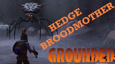 Hedge Broodmother Grounded - YouTube