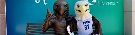 Azul earns a permanent seat in FGCU history - FGCU 360