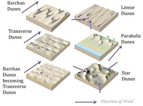 What are the different types of sand dunes? | Socratic