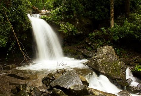 Grotto Falls Trail (Great Smoky Mountains National Park) - 2020 What to Know Before You Go (with ...