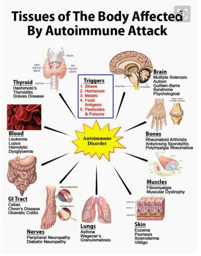 Huo Energy Medicine & Acupuncture NYC - Immune Disorders,acupuncture Autoimmune Disease ...