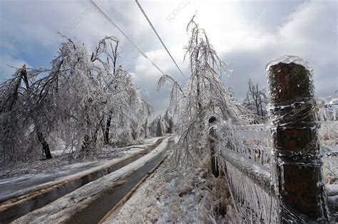 Ice Storm - Stock Image - C013/0191 - Science Photo Library