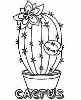 Beautiful Cactus Coloring Pages PDF  Coloringfoldercom sketch template
