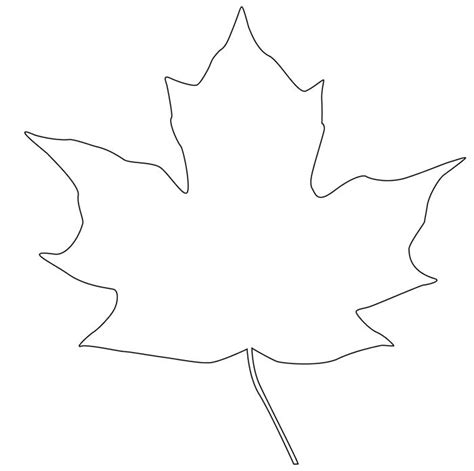 Leaf Outline Drawing | Free download on ClipArtMag