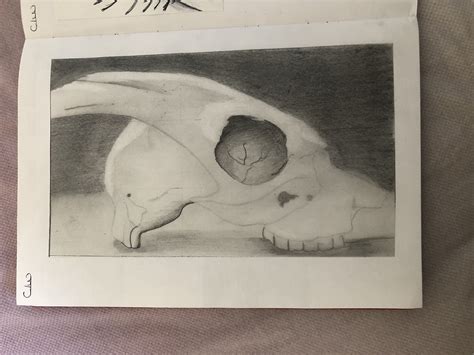 Pencil shading- skull Pencil Shading, Old Art, Skull, Olds, Painting ...