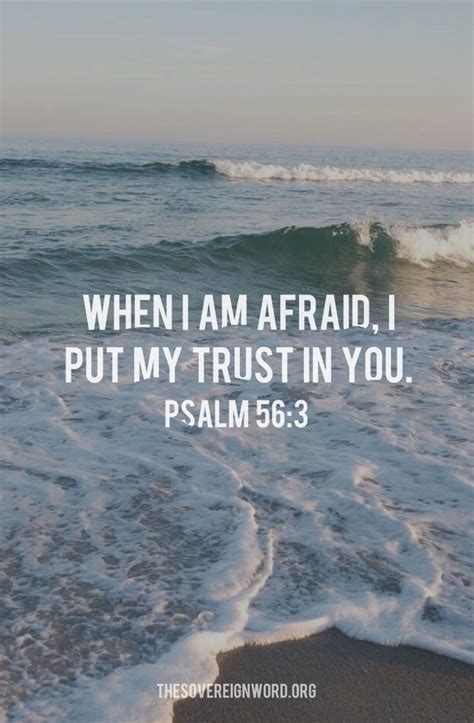 Bible Verse Of The Day:When I am afraid, I put my trust in you. - Psalm ...