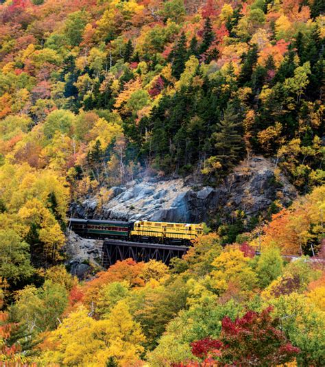 The Best 5 Fall Foliage Trains in New England - New England