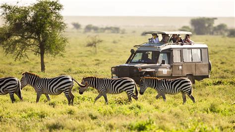 3 Days Amboseli National Park Safari Kenya from $590pp | Camping ...