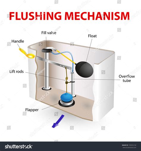 Flush Toilet Flushing Mechanism Diagram How: Stockillustration ...