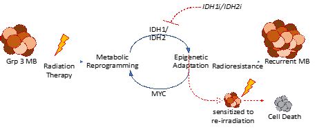 New treatment options for kids with treatment-resistant medulloblastoma - Morgan Adams Foundation