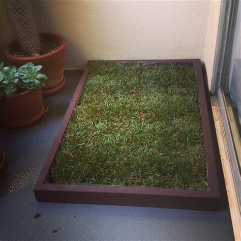 Dog Real Grass Pad For Balcony at Ronald Corliss blog