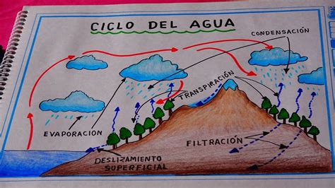 Banquete Ups Ficticio el ciclo del agua para dibujar derrochador Saliente policía