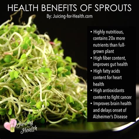 Health Benefits of Bean Sprouts, Nutritional Facts And Consumption Tips