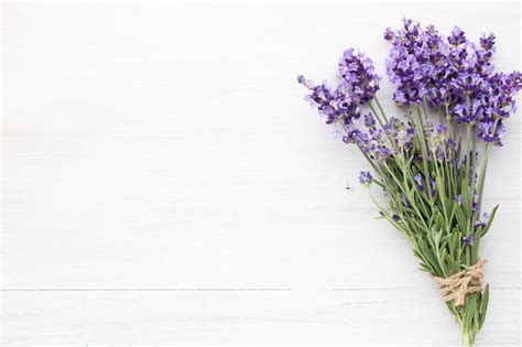 Premium Photo | Lavender flowers on a white background