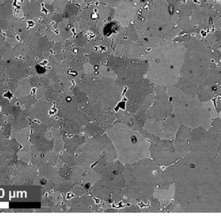 SEM image of micrite crystals from the Mishrif Formation, a typical ...