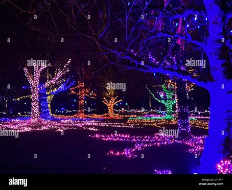 Christmas lights in a park Stock Photo - Alamy